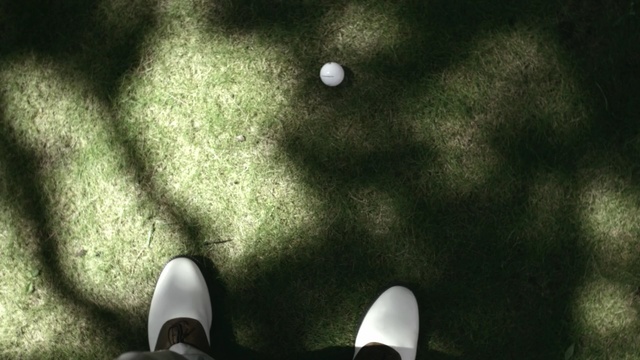 Video Reference: Green, Organism, Space, Grass, Photography, Macro photography, Person