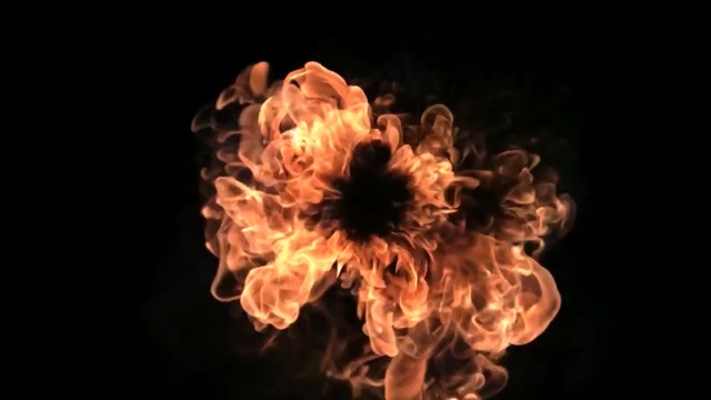 Video Reference: flame, darkness, organism, fire, lighting, petal, computer wallpaper, event, fractal art