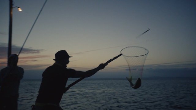 Video Reference: sea, sky, water, ocean, vacation, fishing rod, horizon, casting fishing, fishing, calm, Person