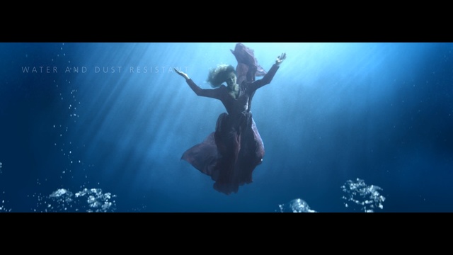 Video Reference: Underwater, Water, Blue, Sky, Organism, Underwater diving, Photography, Recreation, Freediving, Screenshot