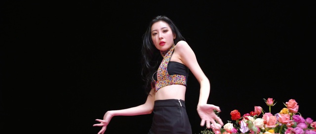 Video Reference: performance, performing arts, performance art, girl, entertainment, dancer, stage, musical theatre, dance, event, Person