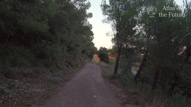 Video Reference: Dirt road, Road, Nature, Atmospheric phenomenon, Trail, Tree, Natural environment, Lane, Thoroughfare, Morning