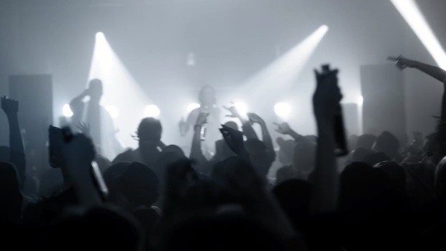 Video Reference: people, crowd, black, stage, event, concert, rock concert, entertainment, performance, darkness, Person