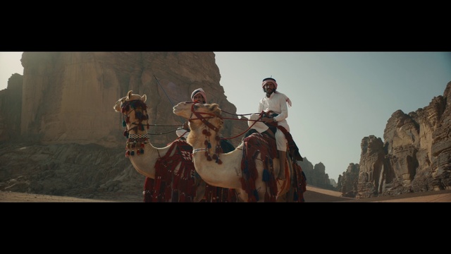 Video Reference: Camel, Camelid, Arabian camel, Mode of transport, Landscape, Adaptation, Organism, Fun, Pack animal, Photography