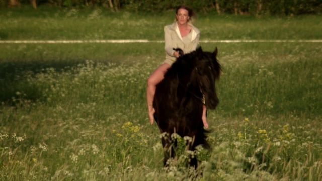 Video Reference: Horse, Mammal, Vertebrate, Bridle, Mane, Pasture, Grassland, Stallion, Mare, Mustang horse