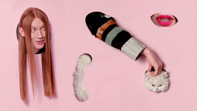 Video Reference: Hair, Pink, Long hair, Wig, Material property, Hand, Doll, Toy, Brown hair, Fur, Person