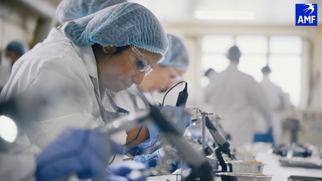 Video Reference: Surgeon, Research, Service, Medical, Medical assistant, Researcher, Chemist, Chemical engineer, Science, Room, Person