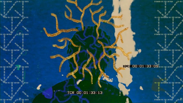 Video Reference: organism, sky, map, world, tree, space, symmetry, font, computer wallpaper, water