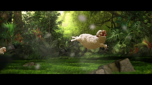 Video Reference: Nature, Natural environment, Bird, Grass, Adaptation, Beak, Galliformes, Biome, Screenshot, Jungle