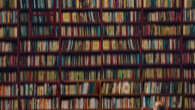 Video Reference: Bookcase, Shelving, Book, Shelf, Publication, Library, Collection, Furniture, Symmetry, Pattern