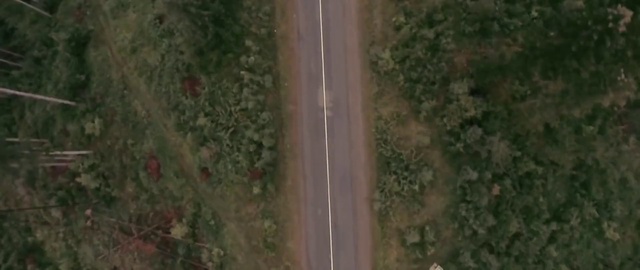 Video Reference: Nature, Leaf, Aerial photography, Tree, Water, Line, Soil, Grass, Photography, Forest