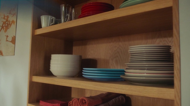 Video Reference: Shelf, Shelving, Furniture, Room, Plywood, Wood, Interior design, Bookcase, House, Table