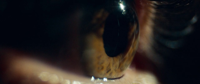 Video Reference: Close-up, Eye, Macro photography, Organ, Photography, Iris, Insect, Whiskers