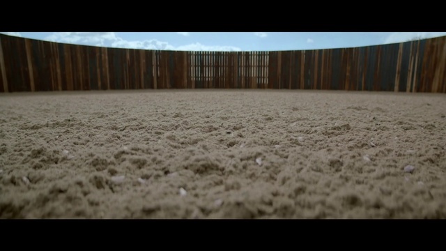 Video Reference: Floor, Flooring, Wood, Soil