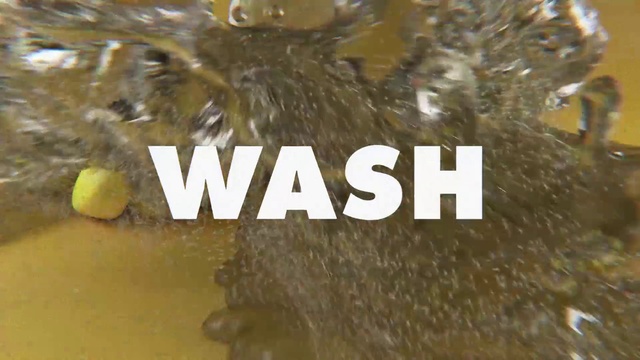 Video Reference: Organism