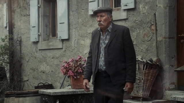 Video Reference: Photograph, Suit, Standing, Outerwear, Snapshot, Formal wear, Human, Temple, Plant, Jacket