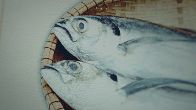 Video Reference: Fish, Fish, Drawing, Mackerel, Sketch