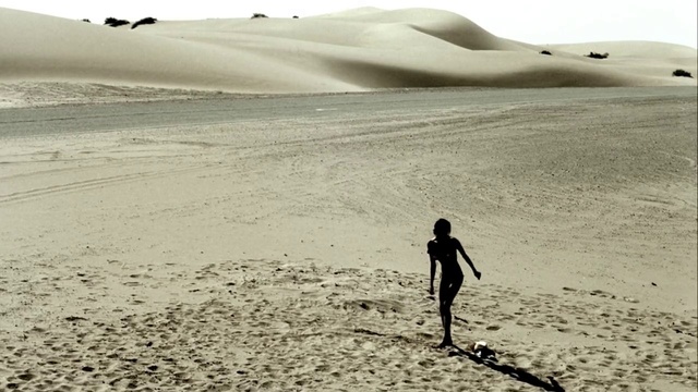 Video Reference: Sand, Natural environment, Desert, Aeolian landform, Landscape, Dune, Sahara, Fun, Vacation, Sea, Person