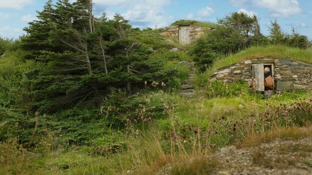 Video Reference: Vegetation, Natural landscape, Property, Tree, Land lot, Grass, House, Biome, Rural area, Plant community