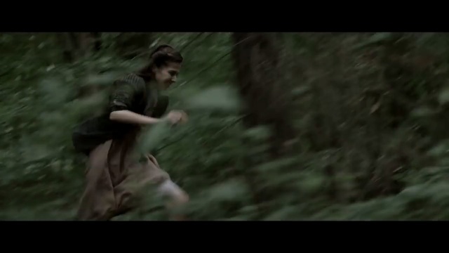 Video Reference: Nature, Natural environment, Movie, Forest, Jungle, Woodland, Tree, Photography, Screenshot, Rainforest