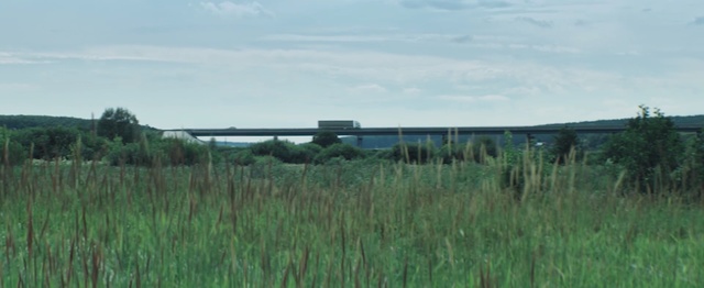 Video Reference: Grassland, Prairie, Natural environment, Plain, Grass, Grass, Land lot, Ecoregion, Meadow, Marsh