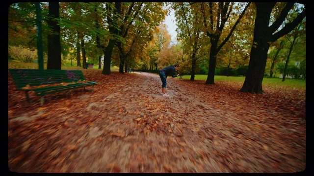Video Reference: People in nature, Tree, Nature, Leaf, Light, Autumn, Sunlight, Woodland, Woody plant, Deciduous