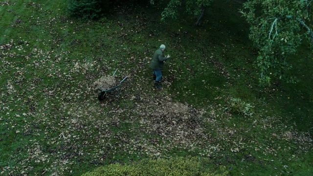 Video Reference: Grass, Vegetation, Lawn, Grass, Soil, Tree, Plant, Forest, Plant community, Groundcover