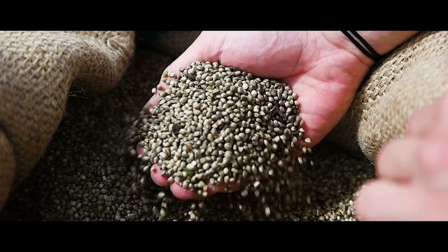Video Reference: Superfood, Plant, Hand, Soil, Pollen, Nail