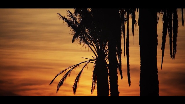 Video Reference: sky, sunrise, sunset, tree, silhouette, morning, sun, sunlight, atmosphere, evening, Person