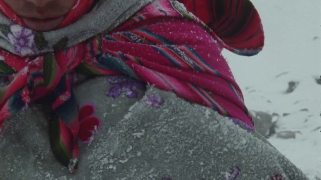 Video Reference: Red, Pink, Magenta, Textile, Plant, Flower, Art