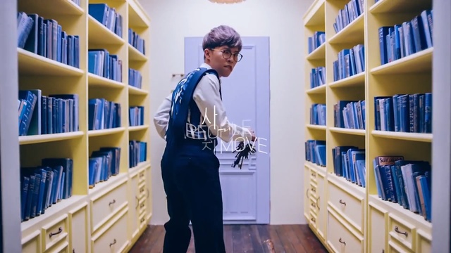 Video Reference: library, shelving, bookcase, product, shelf