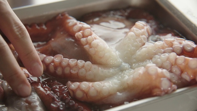 Video Reference: Food, Chicken feet, Dish, Cuisine, Octopus, Sannakji, Ingredient, Seafood, Comfort food, Delicacy