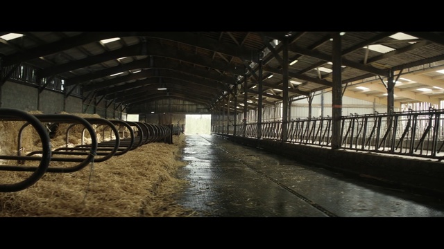 Video Reference: structure, iron, reflection, metal, darkness, Person