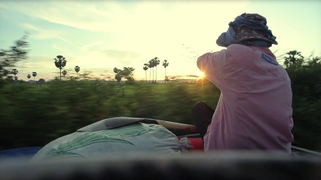 Video Reference: nature, green, sky, grass, photography, reflection, water, morning, tree, sunlight