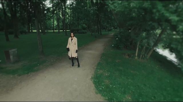 Video Reference: Green, Nature, Woodland, Natural environment, Leaf, Forest, Tree, Grass, Biome, Walking, Person