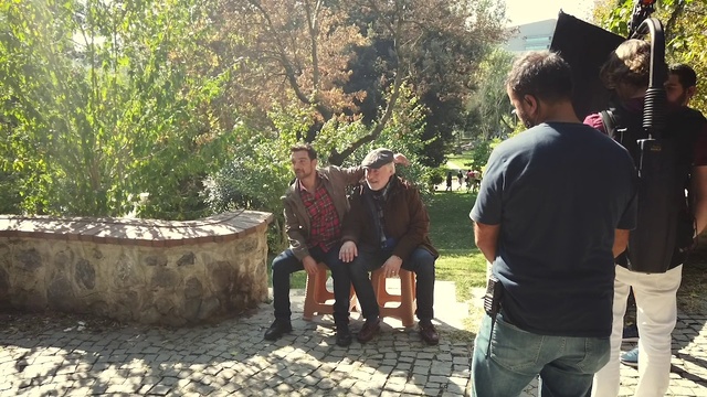 Video Reference: Tree, Plant