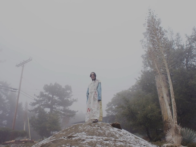 Video Reference: Fog, Atmospheric phenomenon, Mist, Sky, Atmosphere, Haze, Tree, Outerwear, Photography, Winter, Person