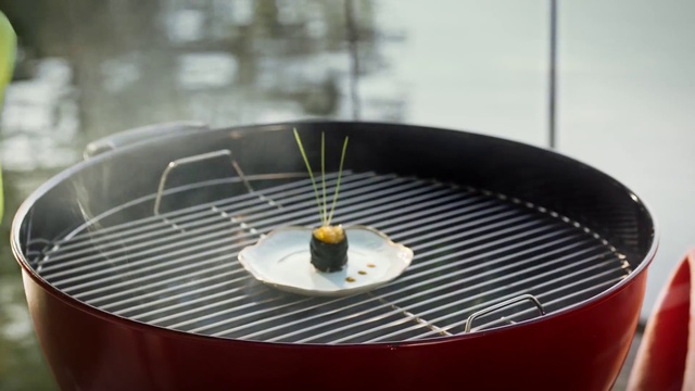 Video Reference: Barbecue, Cooking, Cuisine, Food, Grilling