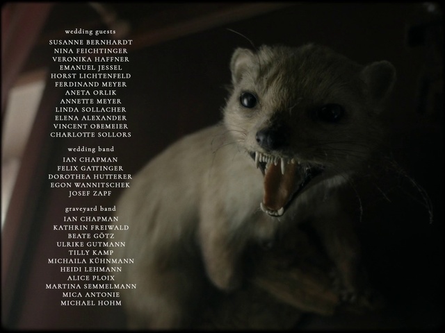 Video Reference: Gerbil, Whiskers, Snout, Photo caption, Adaptation, Wildlife, Rodent, Muridae, Photography, Darkness
