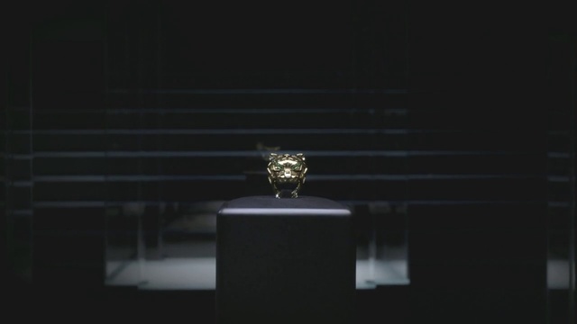 Video Reference: Still life photography, Black, Photograph, Darkness, Light, Lighting, Fashion accessory, Photography, Jewellery, Line