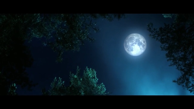Video Reference: Nature, Sky, Atmosphere, Moon, Astronomical object, Light, Moonlight, Celestial event, Darkness, Night