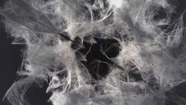 Video Reference: Water, Black-and-white, Smoke, Organism, Stock photography, Monochrome photography, Photography, Pattern, Monochrome, Art