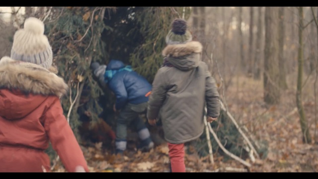 Video Reference: Tree, Adaptation