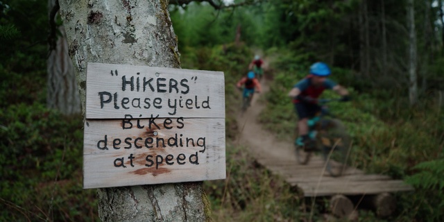 Video Reference: Nature, Cycle sport, Mountain biking, Bicycle, Mountain bike, Mountain bike racing, Cross-country cycling, Jungle, Vehicle, Cycling