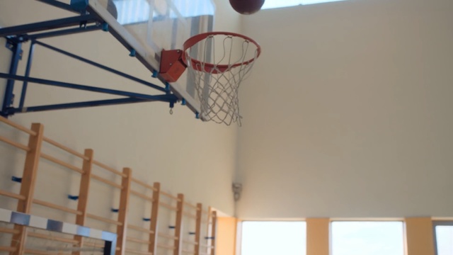 Video Reference: Basketball hoop, Basketball, Basketball court, Net, Team sport, Sport venue, Ceiling, Room, Hardwood, Wood