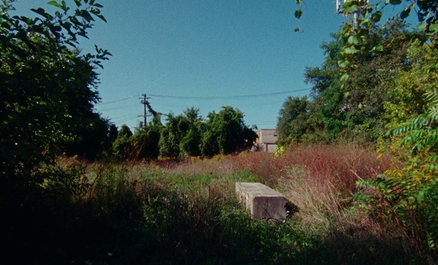 Video Reference: Nature, Tree, Sky, Grass, Land lot, Rural area, Road, Landscape, Plant, House