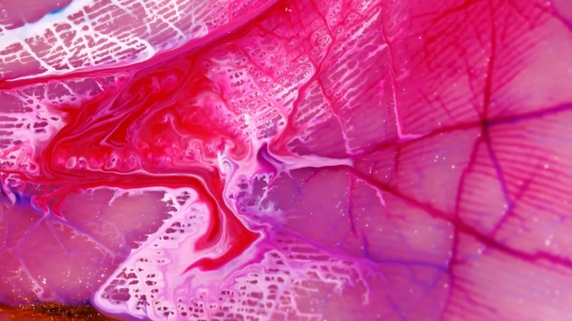 Video Reference: Pink, Magenta, Water, Close-up, Textile, Macro photography, Muscle, Photography, Petal