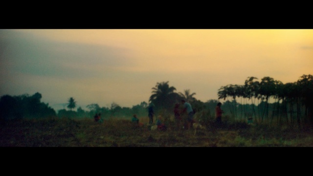 Video Reference: Nature, Sky, Atmospheric phenomenon, Morning, Field, Savanna, Horizon, Rural area, Tree, Farm
