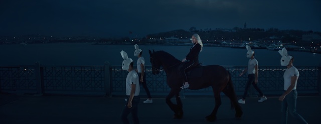 Video Reference: Horse, Sky, Animal sports, Equestrianism, Stallion, Bridle, Recreation, Darkness, Night, Mane