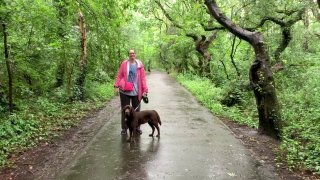 Video Reference: Dog walking, Canidae, Dog, Walking, Adventure, Trail, Recreation, Sporting Group, Hunting dog, Dog hiking